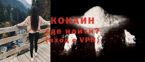 гидра Абаза