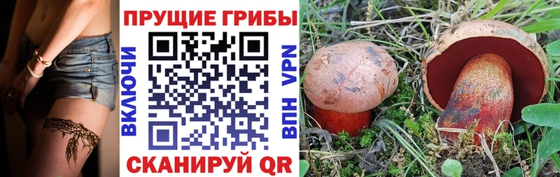 как найти   Александровск-Сахалинский  Псилоцибиновые грибы Magic Shrooms 